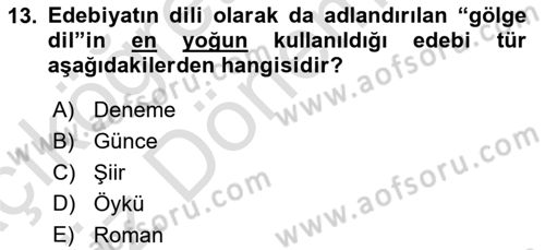 Sanatta Eleştirel Düşünce Dersi Ara Sınavı Deneme Sınav Soruları 13. Soru