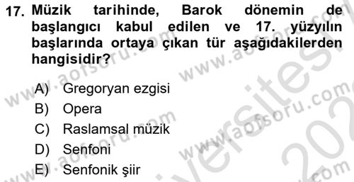 Sanatta Eleştirel Düşünce Dersi 2022 - 2023 Yılı (Vize) Ara Sınav Soruları 17. Soru