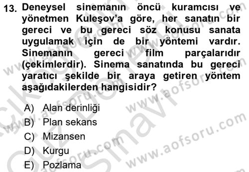 Sanatta Eleştirel Düşünce Dersi 2022 - 2023 Yılı (Final) Dönem Sonu Sınav Soruları 13. Soru