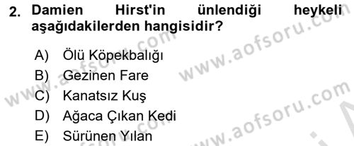 Sanatta Eleştirel Düşünce Dersi 2022 - 2023 Yılı (Final) Dönem Sonu Sınav Soruları 2. Soru