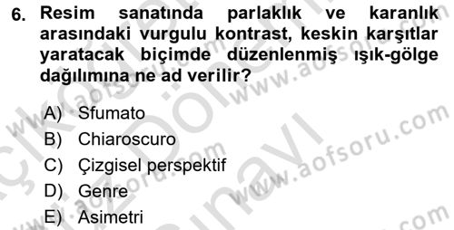 Sanatta Eleştirel Düşünce Dersi 2022 - 2023 Yılı (Final) Dönem Sonu Sınav Soruları 6. Soru