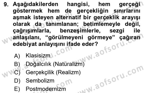 Sanatta Eleştirel Düşünce Dersi 2022 - 2023 Yılı (Final) Dönem Sonu Sınav Soruları 9. Soru