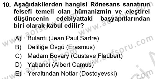 Sanatta Eleştirel Düşünce Dersi 2022 - 2023 Yılı Yaz Okulu Sınav Soruları 10. Soru