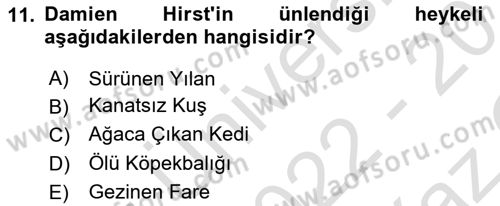 Sanatta Eleştirel Düşünce Dersi 2022 - 2023 Yılı Yaz Okulu Sınav Soruları 11. Soru
