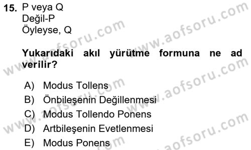 Sanatta Eleştirel Düşünce Dersi 2022 - 2023 Yılı Yaz Okulu Sınav Soruları 15. Soru