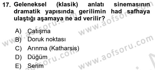 Sanatta Eleştirel Düşünce Dersi 2022 - 2023 Yılı Yaz Okulu Sınav Soruları 17. Soru
