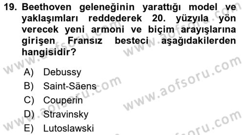 Sanatta Eleştirel Düşünce Dersi 2022 - 2023 Yılı Yaz Okulu Sınav Soruları 19. Soru