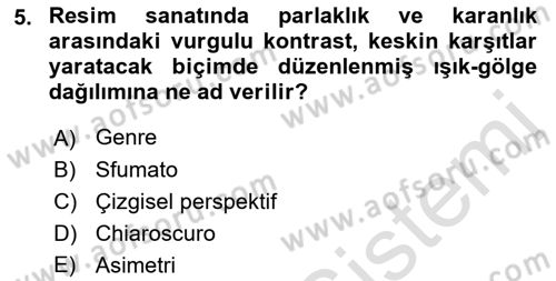 Sanatta Eleştirel Düşünce Dersi 2022 - 2023 Yılı Yaz Okulu Sınav Soruları 5. Soru