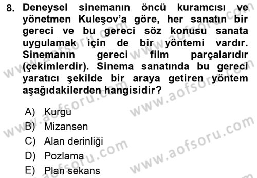 Sanatta Eleştirel Düşünce Dersi 2022 - 2023 Yılı Yaz Okulu Sınav Soruları 8. Soru