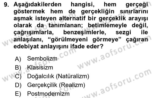 Sanatta Eleştirel Düşünce Dersi 2022 - 2023 Yılı Yaz Okulu Sınav Soruları 9. Soru