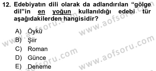 Sanatta Eleştirel Düşünce Dersi Ara Sınavı Deneme Sınav Soruları 12. Soru