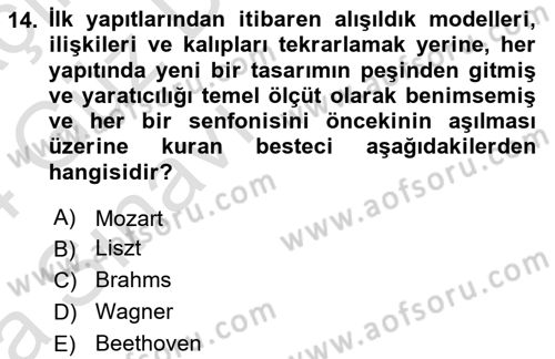Sanatta Eleştirel Düşünce Dersi Ara Sınavı Deneme Sınav Soruları 14. Soru