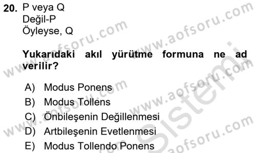 Sanatta Eleştirel Düşünce Dersi Ara Sınavı Deneme Sınav Soruları 20. Soru