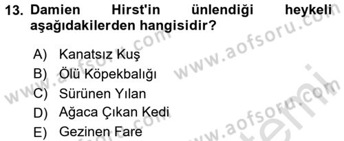 Sanatta Eleştirel Düşünce Dersi 2023 - 2024 Yılı Yaz Okulu Sınav Soruları 13. Soru