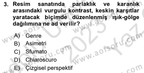 Sanatta Eleştirel Düşünce Dersi 2023 - 2024 Yılı Yaz Okulu Sınav Soruları 3. Soru