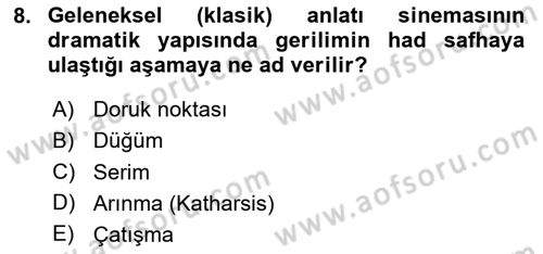 Sanatta Eleştirel Düşünce Dersi 2023 - 2024 Yılı Yaz Okulu Sınav Soruları 8. Soru