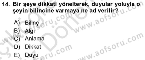 Sanatta Eleştirel Düşünce Dersi Ara Sınavı Deneme Sınav Soruları 14. Soru