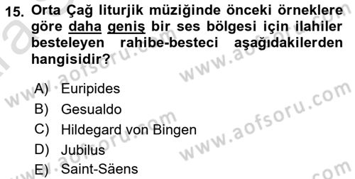 Sanatta Eleştirel Düşünce Dersi Ara Sınavı Deneme Sınav Soruları 15. Soru
