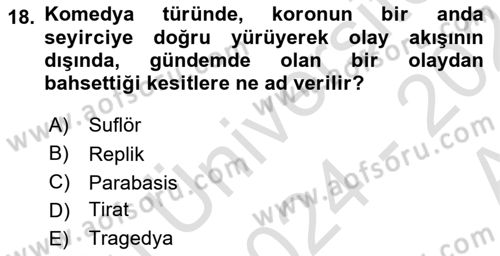 Sanatta Eleştirel Düşünce Dersi Ara Sınavı Deneme Sınav Soruları 18. Soru