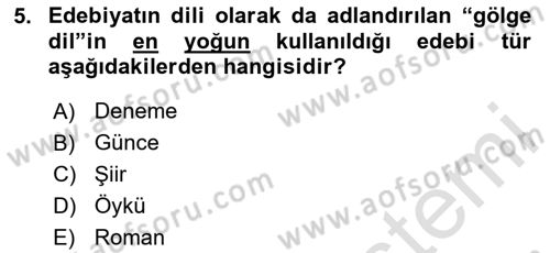 Sanatta Eleştirel Düşünce Dersi Ara Sınavı Deneme Sınav Soruları 5. Soru