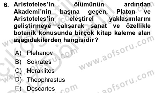 Sanatta Eleştirel Düşünce Dersi Ara Sınavı Deneme Sınav Soruları 6. Soru