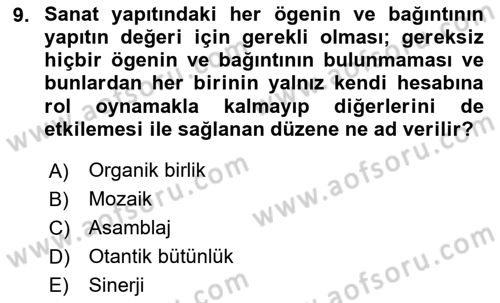 Sanatta Eleştirel Düşünce Dersi Ara Sınavı Deneme Sınav Soruları 9. Soru