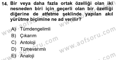 Sanatta Eleştirel Düşünce Dersi 2024 - 2025 Yılı (Final) Dönem Sonu Sınav Soruları 14. Soru