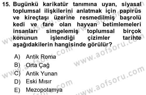 Sanatta Eleştirel Düşünce Dersi 2024 - 2025 Yılı (Final) Dönem Sonu Sınav Soruları 15. Soru