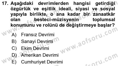 Sanatta Eleştirel Düşünce Dersi 2024 - 2025 Yılı (Final) Dönem Sonu Sınav Soruları 17. Soru