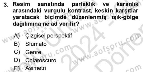Sanatta Eleştirel Düşünce Dersi 2024 - 2025 Yılı (Final) Dönem Sonu Sınav Soruları 3. Soru