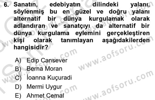 Sanatta Eleştirel Düşünce Dersi 2024 - 2025 Yılı (Final) Dönem Sonu Sınav Soruları 6. Soru