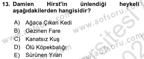 Sanatta Eleştirel Düşünce Dersi 2024 - 2025 Yılı Yaz Okulu Sınav Soruları 13. Soru