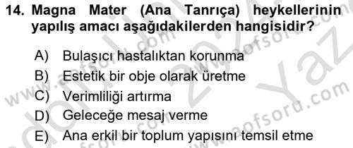 Sanatta Eleştirel Düşünce Dersi 2024 - 2025 Yılı Yaz Okulu Sınav Soruları 14. Soru