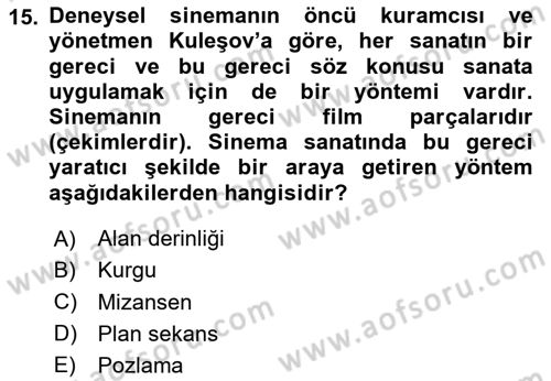 Sanatta Eleştirel Düşünce Dersi 2024 - 2025 Yılı Yaz Okulu Sınav Soruları 15. Soru