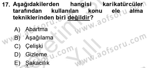 Sanatta Eleştirel Düşünce Dersi 2024 - 2025 Yılı Yaz Okulu Sınav Soruları 17. Soru