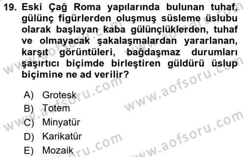 Sanatta Eleştirel Düşünce Dersi 2024 - 2025 Yılı Yaz Okulu Sınav Soruları 19. Soru