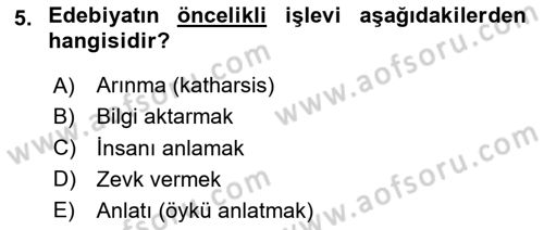 Sanatta Eleştirel Düşünce Dersi 2024 - 2025 Yılı Yaz Okulu Sınav Soruları 5. Soru