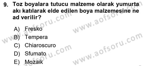 Sanatta Eleştirel Düşünce Dersi 2024 - 2025 Yılı Yaz Okulu Sınav Soruları 9. Soru