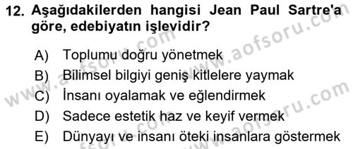 Sanatta Eleştirel Düşünce Dersi 2025 - 2026 Yılı (Vize) Ara Sınav Soruları 12. Soru