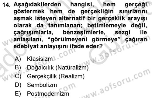 Sanatta Eleştirel Düşünce Dersi 2025 - 2026 Yılı (Vize) Ara Sınav Soruları 14. Soru