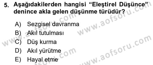 Sanatta Eleştirel Düşünce Dersi 2025 - 2026 Yılı (Vize) Ara Sınav Soruları 5. Soru