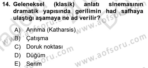 Sanatta Eleştirel Düşünce Dersi 2025 - 2026 Yılı (Final) Dönem Sonu Sınav Soruları 14. Soru