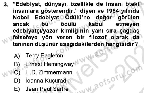 Sanatta Eleştirel Düşünce Dersi 2025 - 2026 Yılı (Final) Dönem Sonu Sınav Soruları 3. Soru