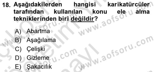 Sanatta Eleştirel Düşünce Dersi 2025 - 2026 Yılı Yaz Okulu Sınav Soruları 18. Soru