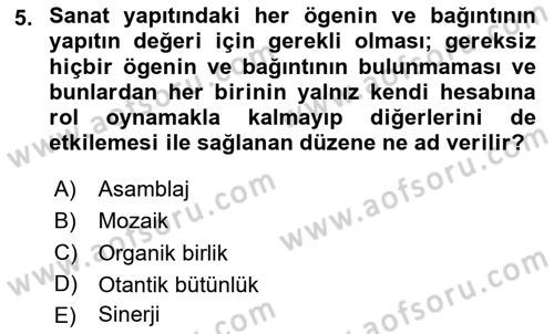 Sanatta Eleştirel Düşünce Dersi 2025 - 2026 Yılı Yaz Okulu Sınav Soruları 5. Soru