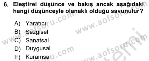 Sanatta Eleştirel Düşünce Dersi 2025 - 2026 Yılı Yaz Okulu Sınav Soruları 6. Soru