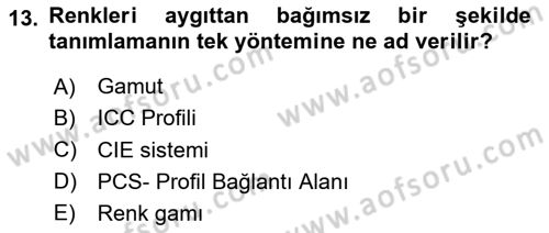 Dijital Grafik Üretim Ve Çoğaltım Teknikleri Dersi 2023 - 2024 Yılı (Final) Dönem Sonu Sınav Soruları 13. Soru