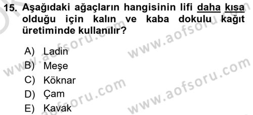 Dijital Grafik Üretim Ve Çoğaltım Teknikleri Dersi 2023 - 2024 Yılı Yaz Okulu Sınav Soruları 15. Soru