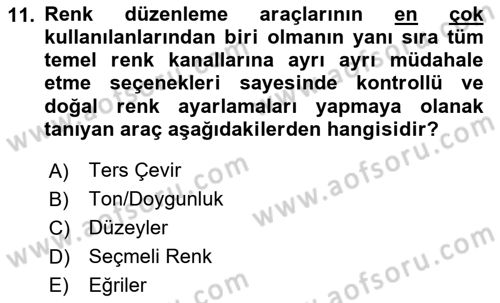 Dijital Grafik Üretim Ve Çoğaltım Teknikleri Dersi 2024 - 2025 Yılı (Final) Dönem Sonu Sınav Soruları 11. Soru