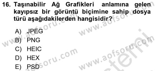 Dijital Grafik Üretim Ve Çoğaltım Teknikleri Dersi 2024 - 2025 Yılı (Final) Dönem Sonu Sınav Soruları 16. Soru